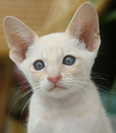 Photo: Carolin Skirl