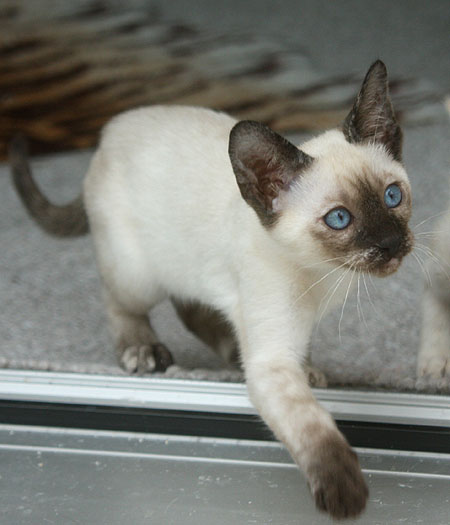 Photo: Carolin Skirl