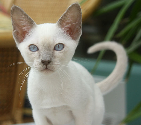 Photo: Carolin Skirl