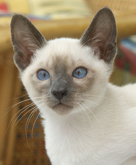 Photo: Carolin Skirl