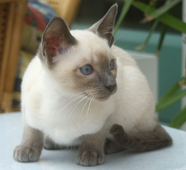 Photo: Carolin Skirl