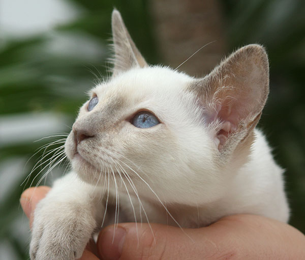 Photo: Carolin Skirl