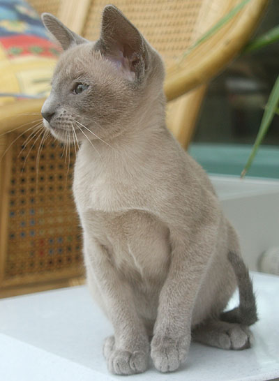 Photo: Carolin Skirl