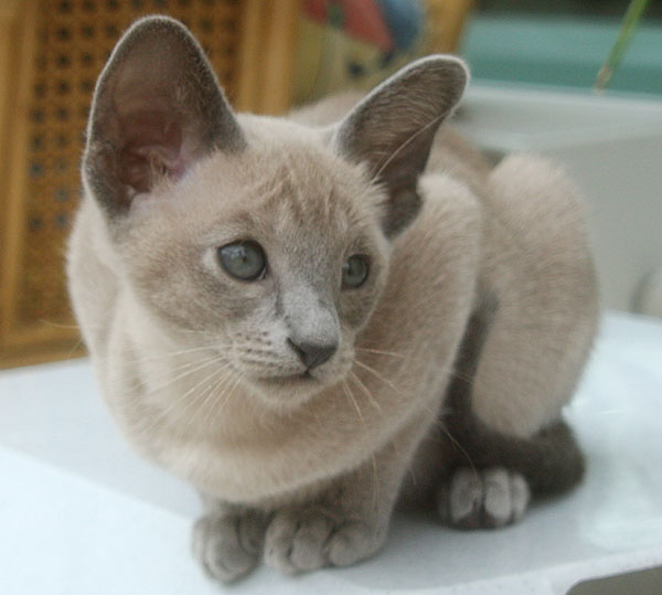 Photo: Carolin Skirl