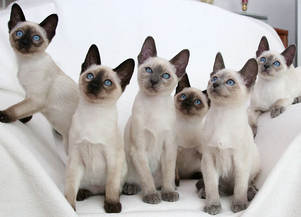 G-Wurf am 30/09/2006