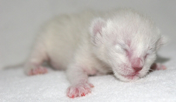 Photo: Carolin Skirl