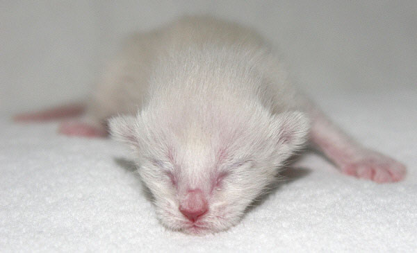 Photo: Carolin Skirl