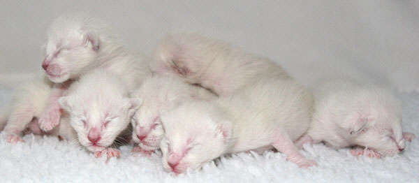 Photo: Carolin Skirl