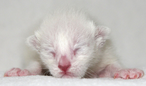 Photo: Carolin Skirl