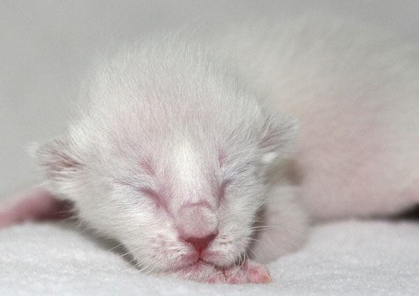 Photo: Carolin Skirl