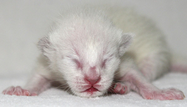 Photo: Carolin Skirl