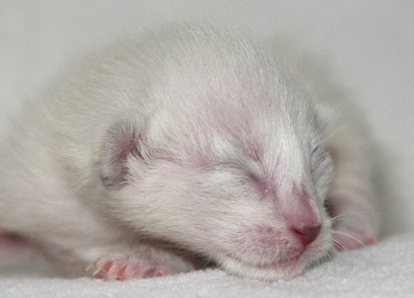 Photo: Carolin Skirl