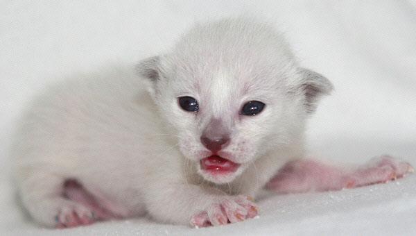 Photo: Carolin Skirl