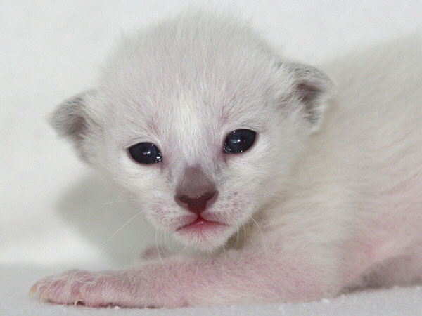 Photo: Carolin Skirl