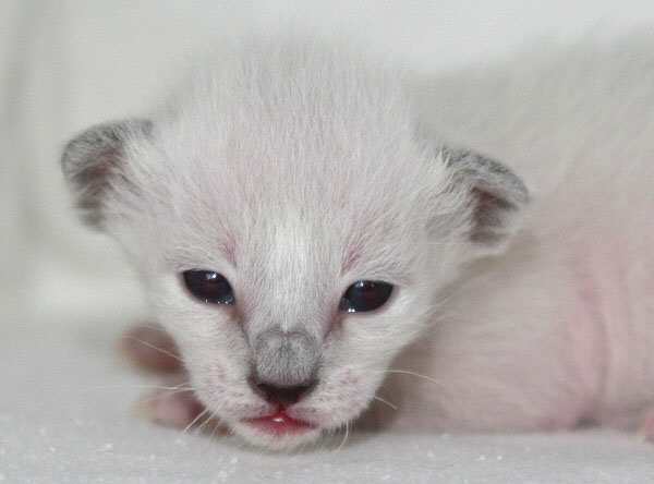 Photo: Carolin Skirl