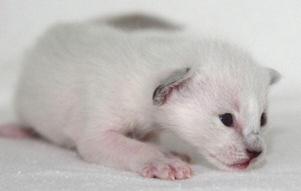 Photo: Carolin Skirl