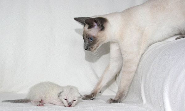 Photo: Carolin Skirl