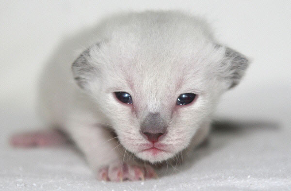 Photo: Carolin Skirl