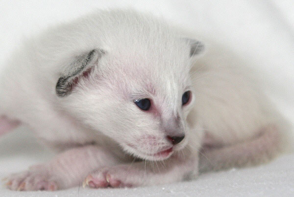 Photo: Carolin Skirl