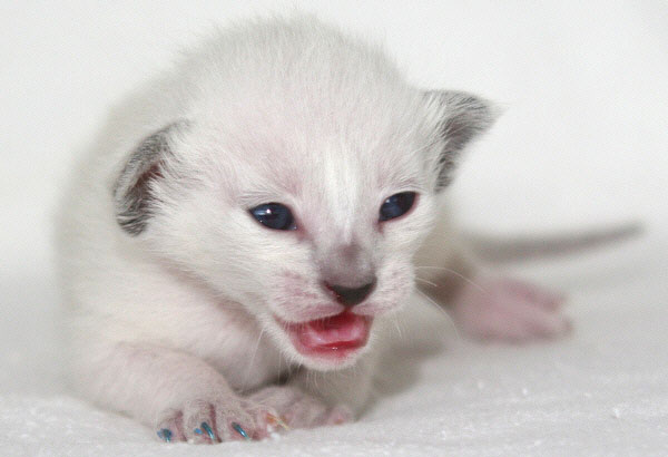 Photo: Carolin Skirl