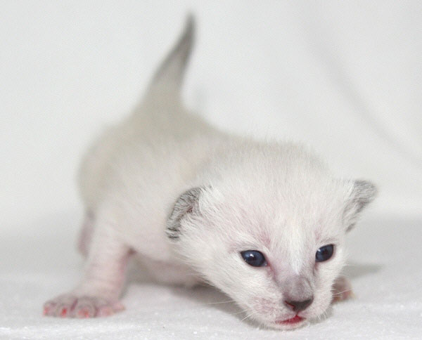 Photo: Carolin Skirl