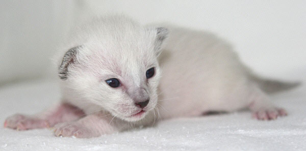 Photo: Carolin Skirl