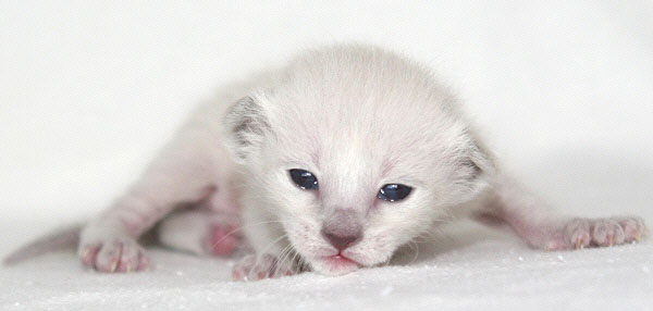 Photo: Carolin Skirl