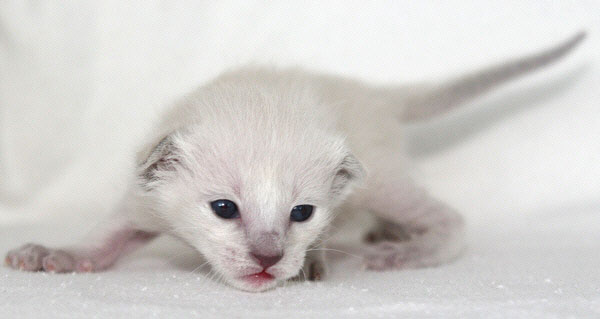 Photo: Carolin Skirl