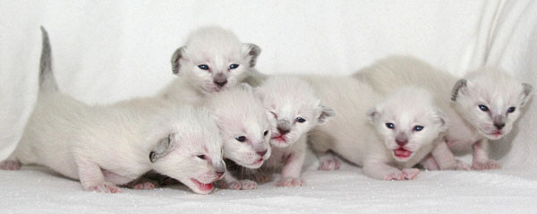 Photo: Carolin Skirl