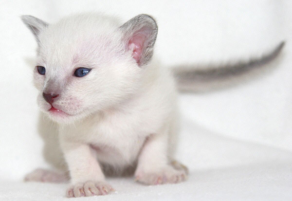 Photo: Carolin Skirl