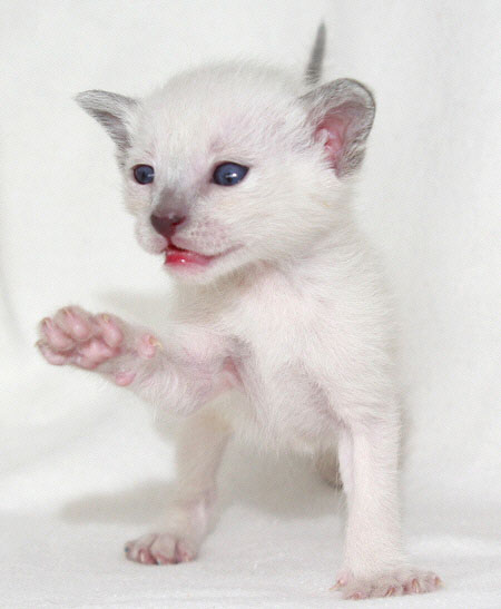 Photo: Carolin Skirl