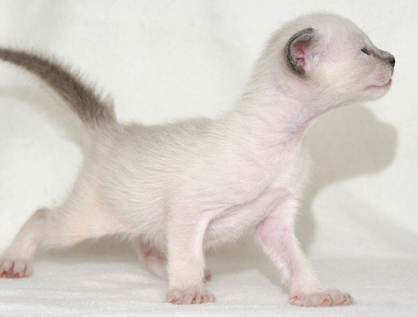 Photo: Carolin Skirl