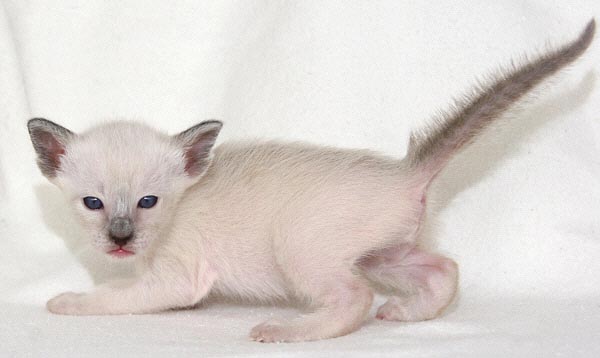 Photo: Carolin Skirl