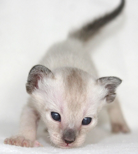 Photo: Carolin Skirl