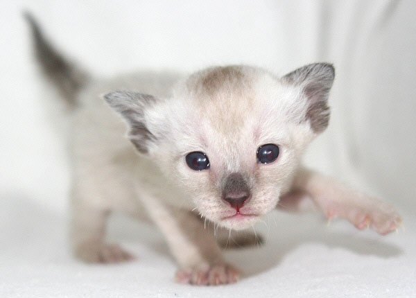 Photo: Carolin Skirl