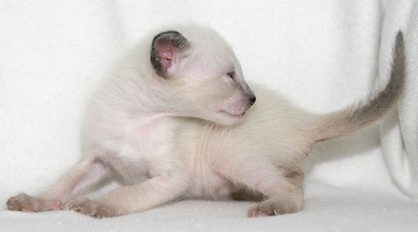 Photo: Carolin Skirl