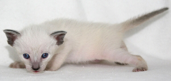 Photo: Carolin Skirl