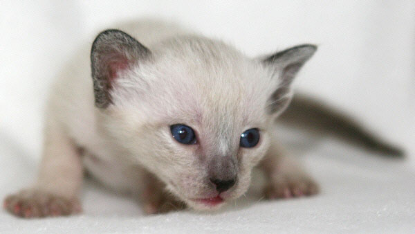 Photo: Carolin Skirl