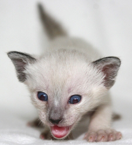 Photo: Carolin Skirl