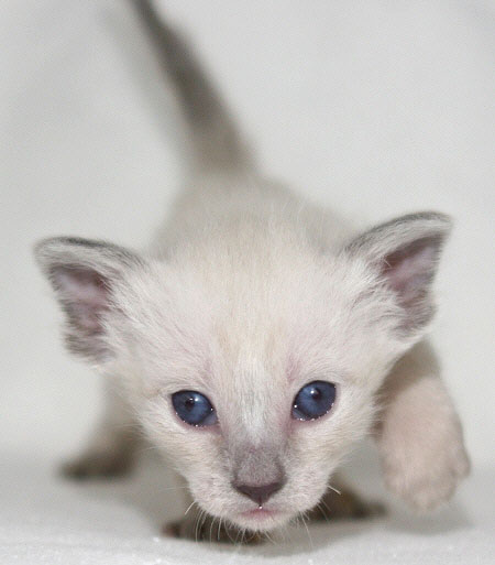 Photo: Carolin Skirl