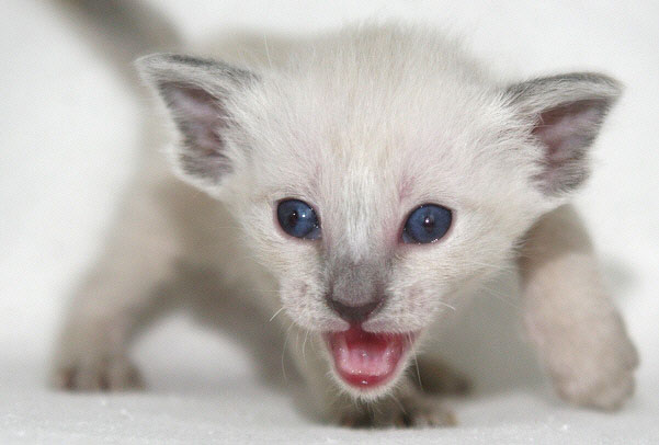 Photo: Carolin Skirl