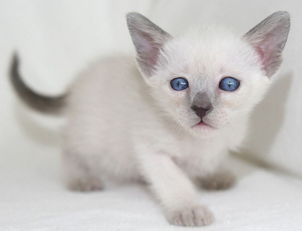 Photo: Carolin Skirl