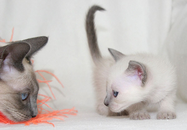 Photo: Carolin Skirl