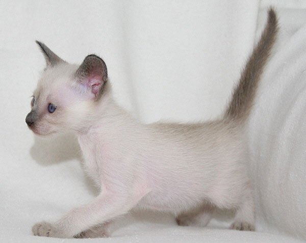 Photo: Carolin Skirl