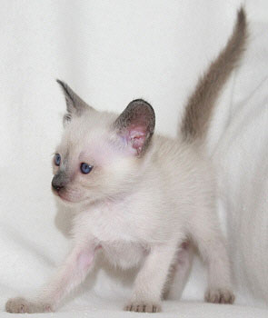 Photo: Carolin Skirl