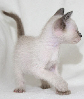 Photo: Carolin Skirl