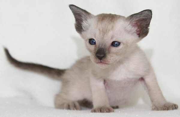 Photo: Carolin Skirl