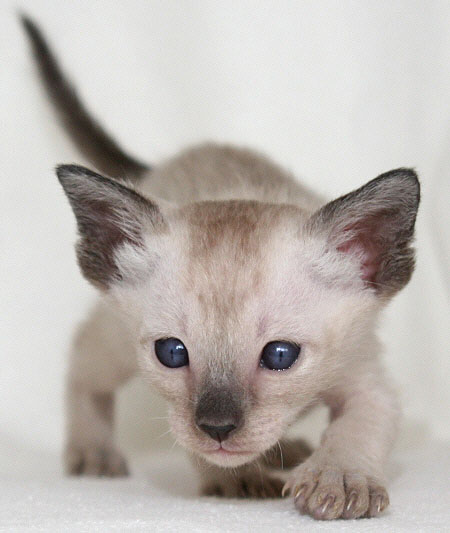 Photo: Carolin Skirl