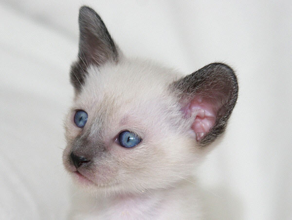 Photo: Carolin Skirl