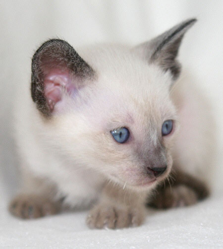 Photo: Carolin Skirl